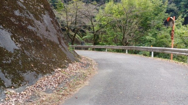峠の左カーブ