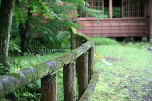 自宅に帰って反省会